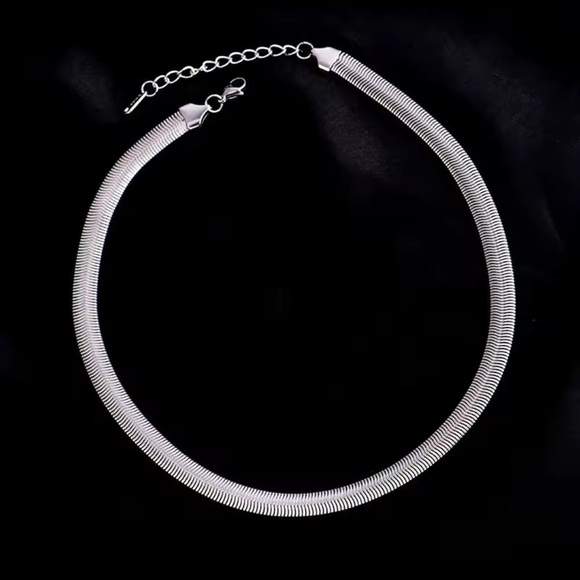 Anthropologie Jewelry - Snake Silver Herringbone Chain Necklace